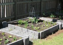Kwikfynd Organic Gardening
rockycape
