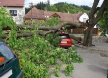 Kwikfynd Tree Cutting Services
rockycape